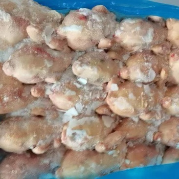 残西装鸡有10吨货