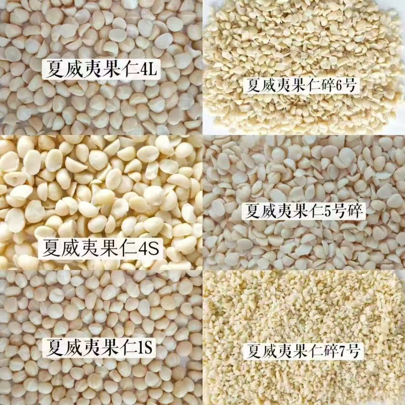 夏威夷果仁