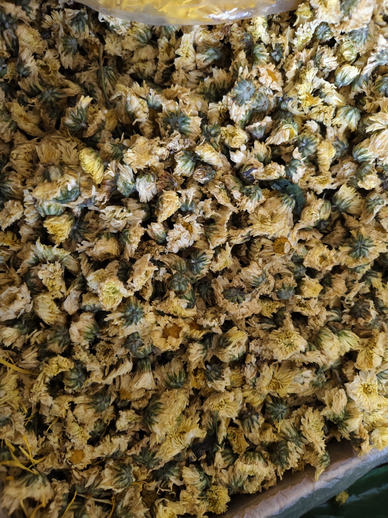 菊花无硫北京菊花杀青北京菊无硫烘干散装批发