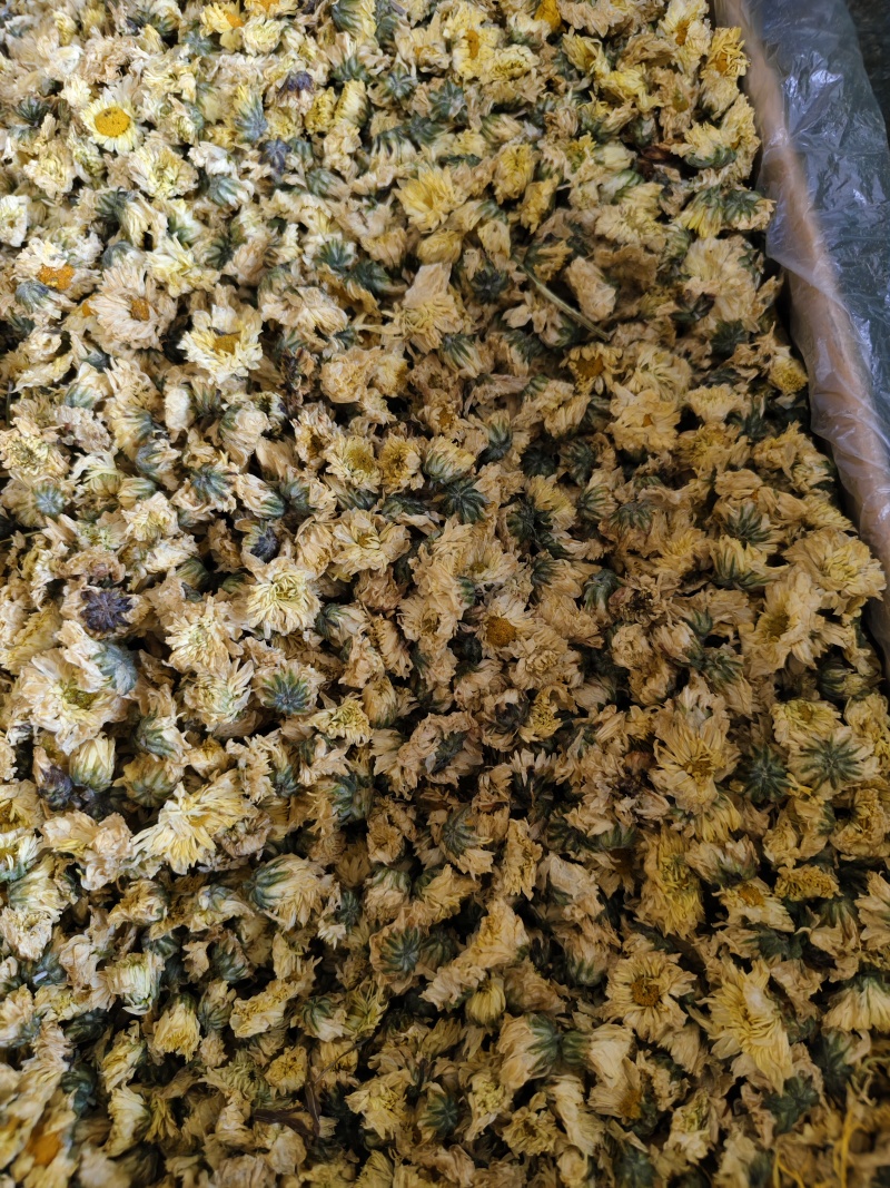 菊花无硫北京菊花杀青北京菊无硫烘干散装批发