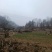 十堰郧西大山高山野生土蜂蜜