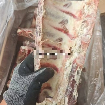 牛西冷骨，做牛排锅专用，量大优惠，