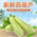 山东莒县西葫芦新鲜现摘产地直供量大质优全国批发