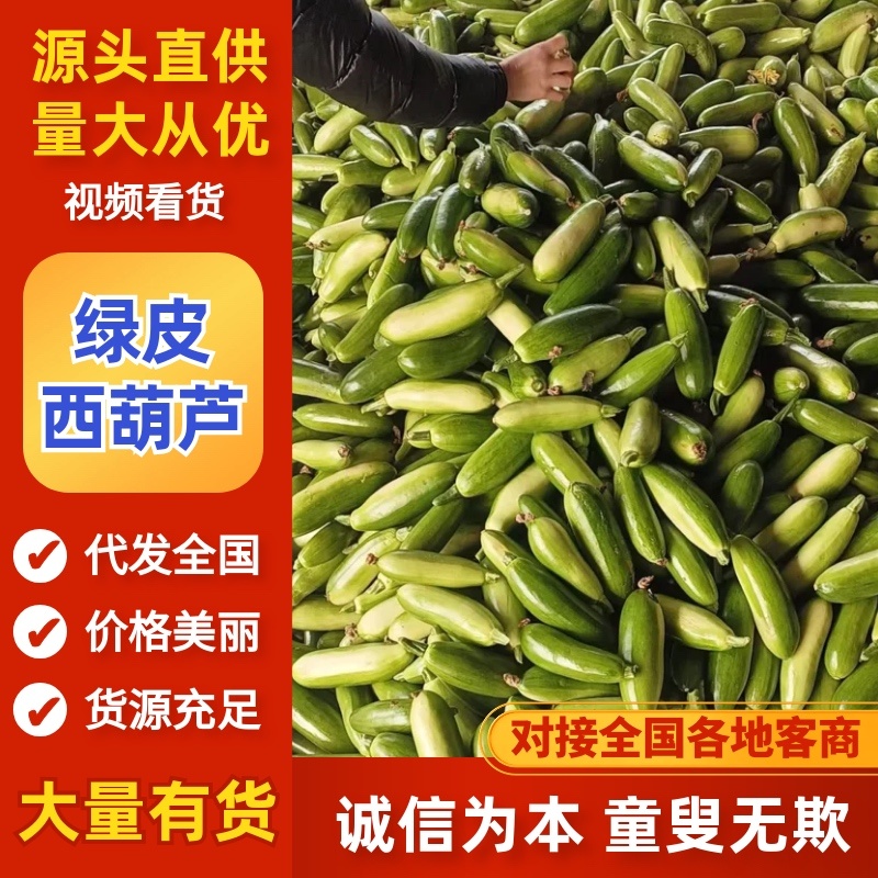 西葫芦/山东产区直发/货源充足/欢迎选购/大量现货