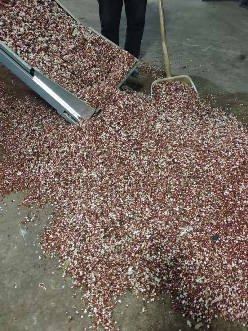 河北赵县杏花粉自产自销质量保证欢迎来电咨询