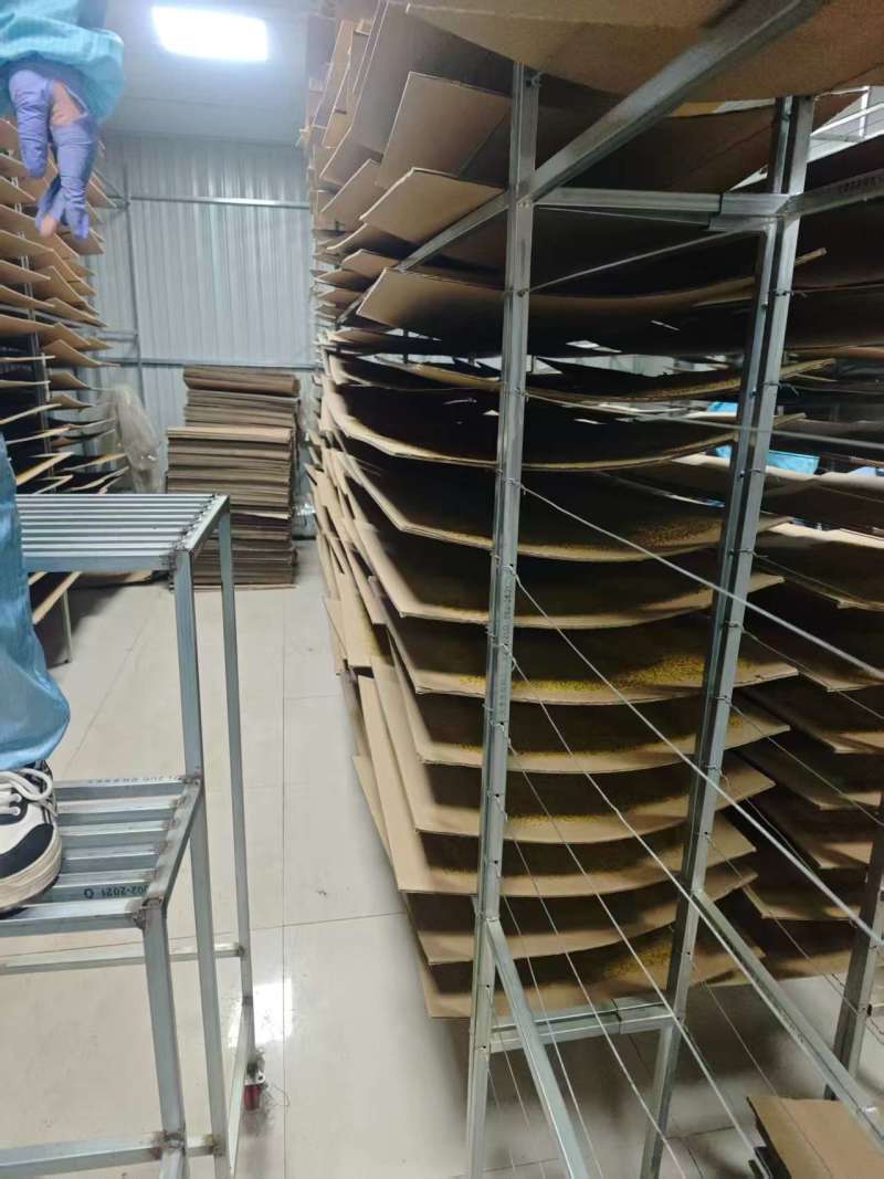 河北赵县杏花粉自产自销质量保证欢迎来电咨询