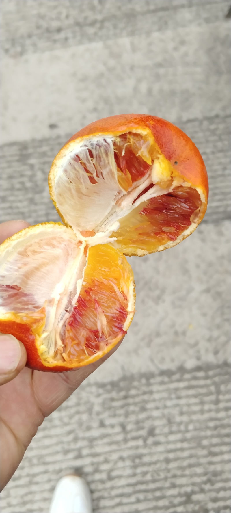 塔罗科血橙