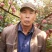 苹果2026九月中旬收果子