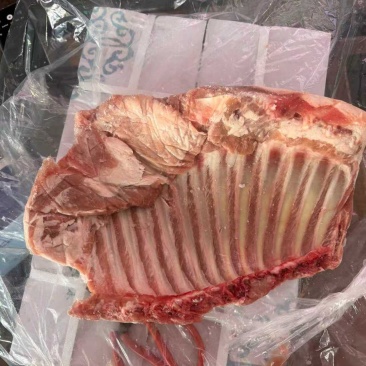 羔羊羊全排