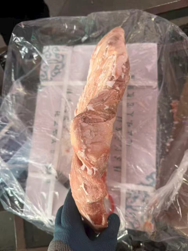 羔羊羊全排