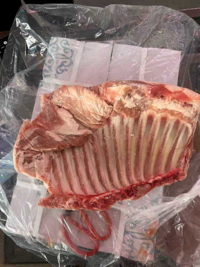 羔羊羊全排