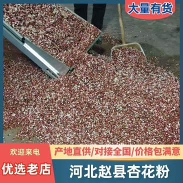 河北赵县杏花粉自产自销质量保证欢迎来电咨询