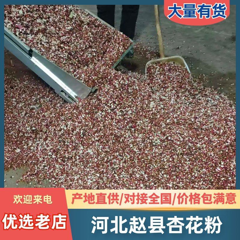 河北赵县杏花粉自产自销质量保证欢迎来电咨询