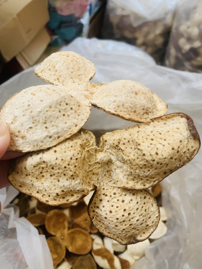 2023广西老树陈皮产地直销四会柑皮三花大红皮老树陈皮