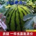 麒麟西瓜/产区直发/货源充足/大量有货