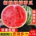 麒麟西瓜/产区直发/货源充足/大量有货
