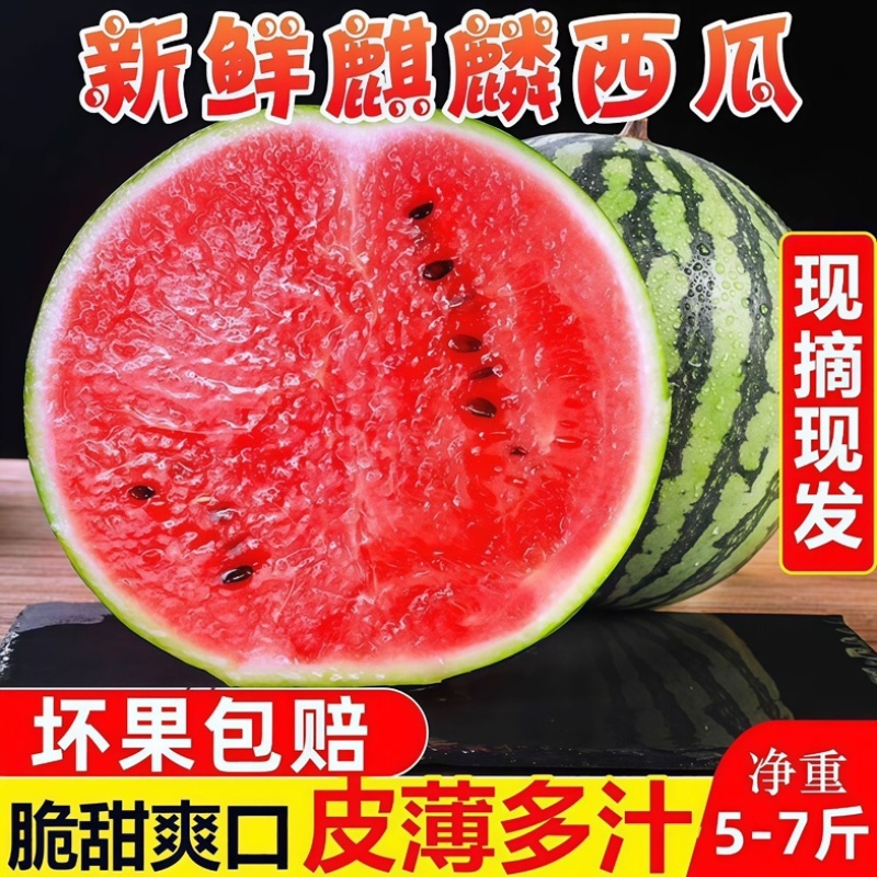 麒麟西瓜/产区直发/货源充足/大量有货