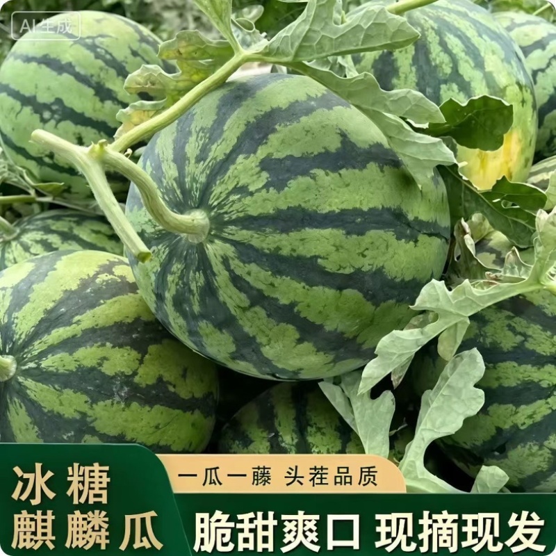 麒麟西瓜/产区直发/货源充足/大量有货