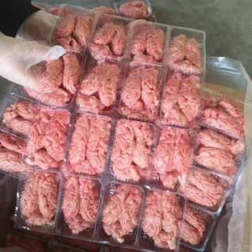 小猪脑花