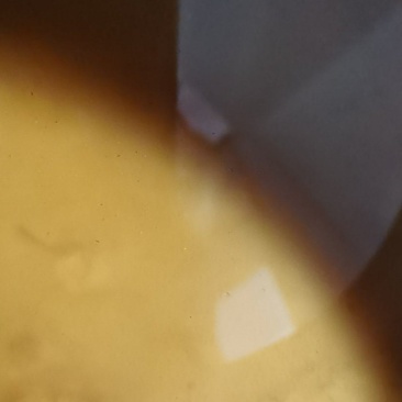 纯自采花蜂蜜现货八十多斤