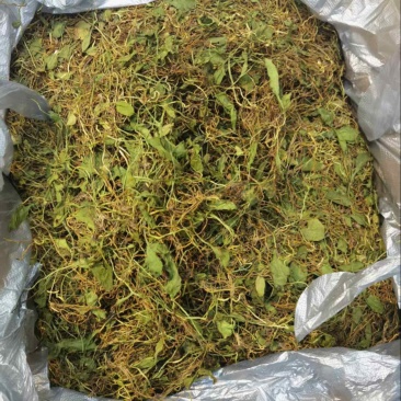 一支箭