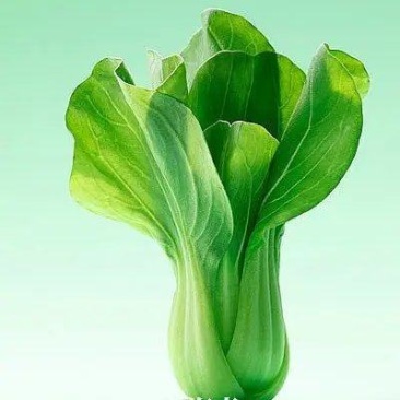 油菜产地直发