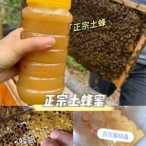 广西特产-农副产品