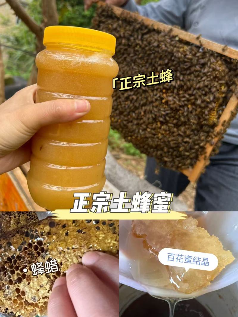 广西特产-农副产品