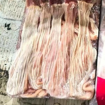 麻鸭食带3.5吨