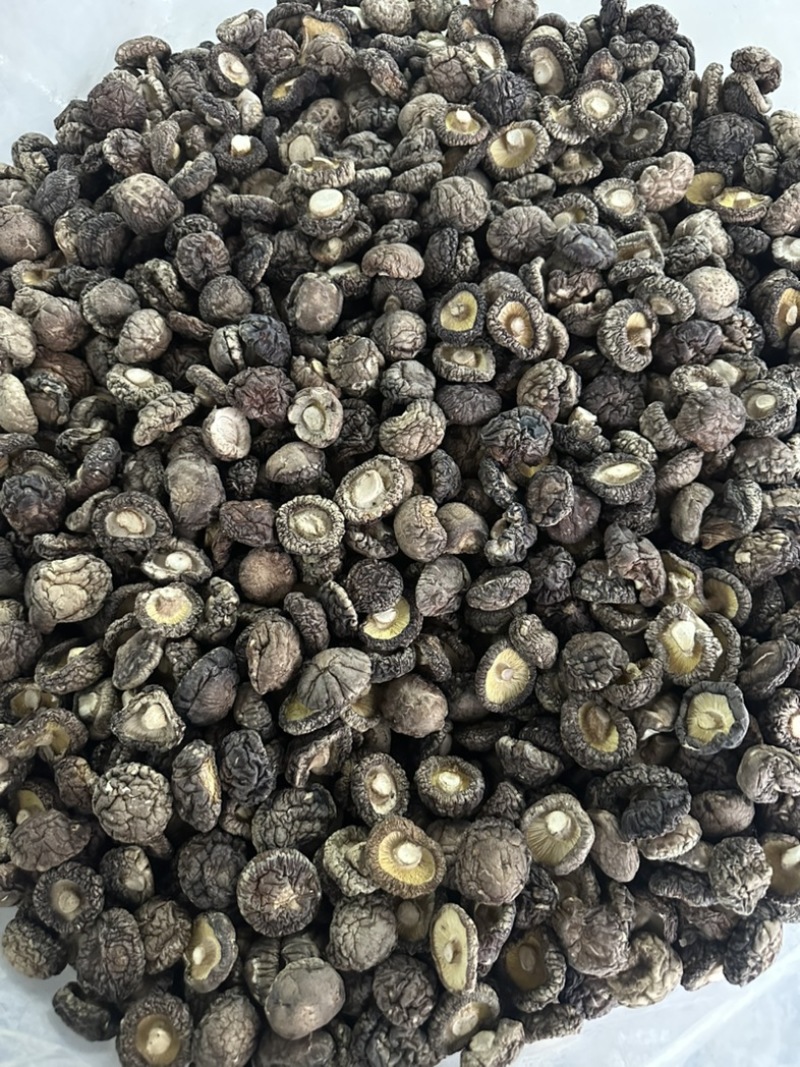 2026新货冬菇干香菇产地批发干蘑菇香菇干