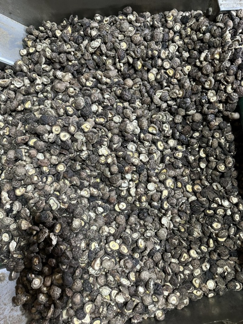 2026新货冬菇干香菇产地批发干蘑菇香菇干