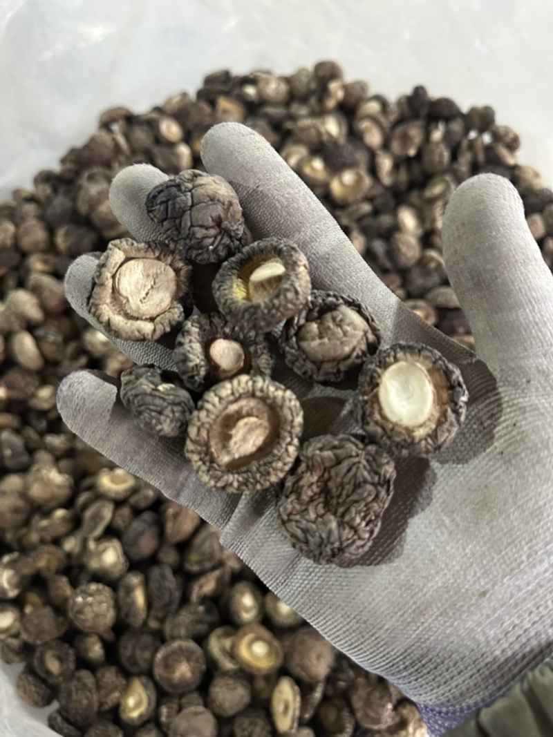 2026新货冬菇干香菇产地批发干蘑菇香菇干