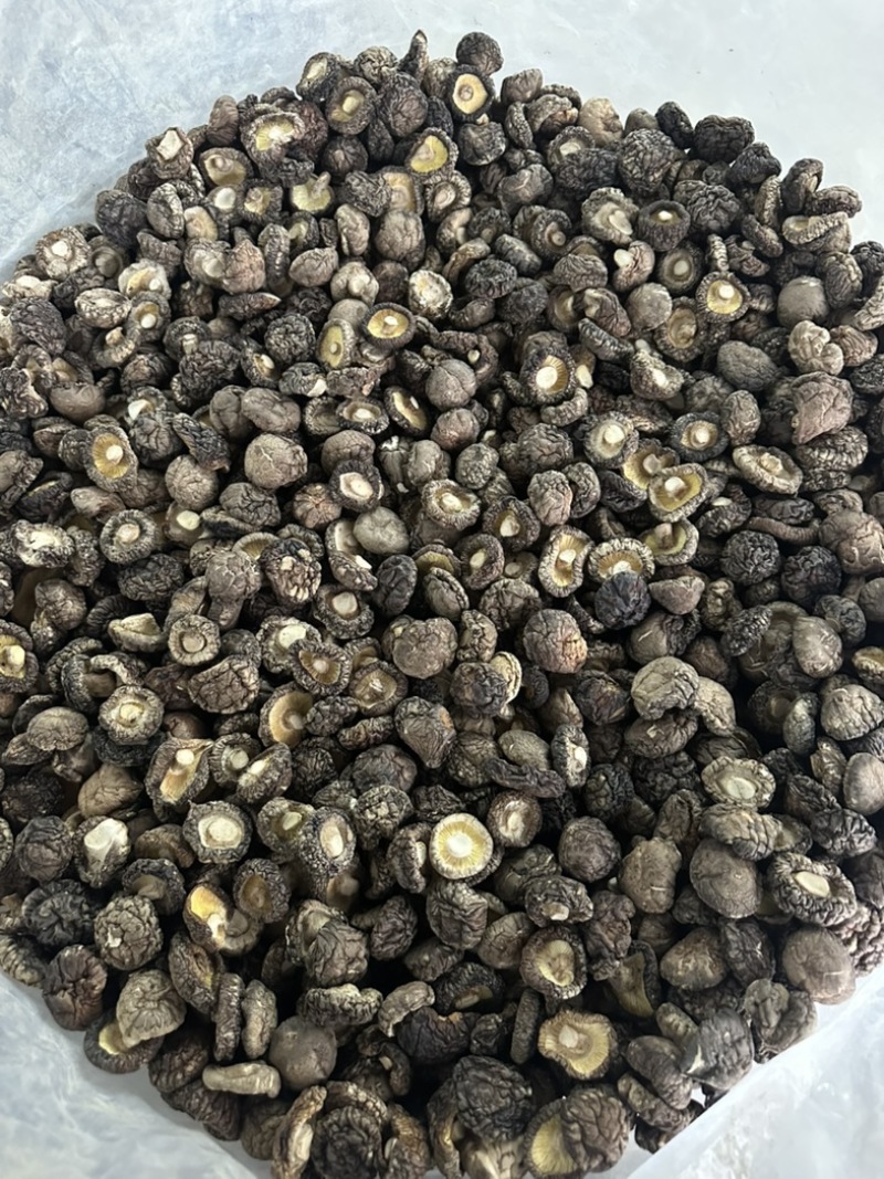 2026新货冬菇干香菇产地批发干蘑菇香菇干