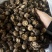 2026新货冬菇干香菇产地批发干蘑菇香菇干
