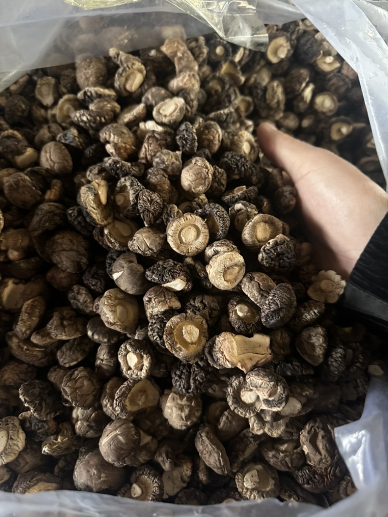 2026新货冬菇干香菇产地批发干蘑菇香菇干