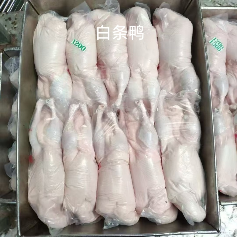 白条鸭，规格齐全，品质有保障