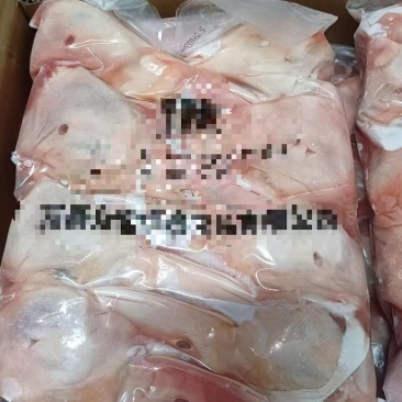 二级不破嘴鸭头一车