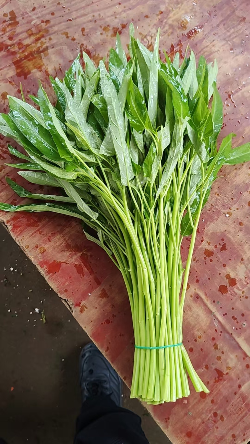 青梗空心菜