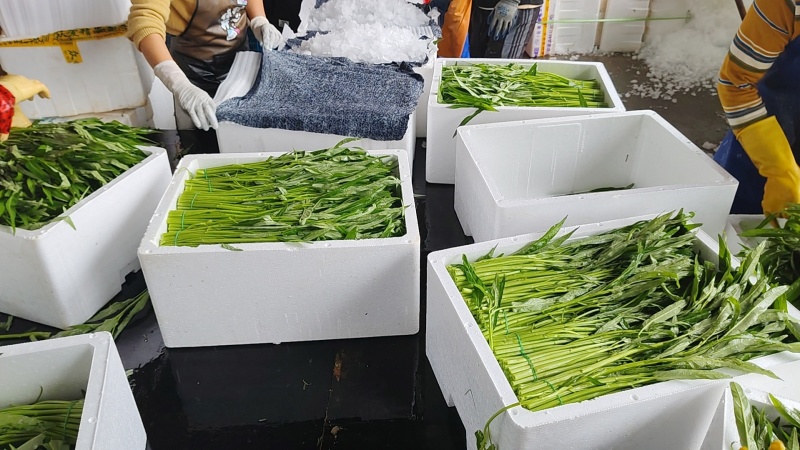 青梗空心菜