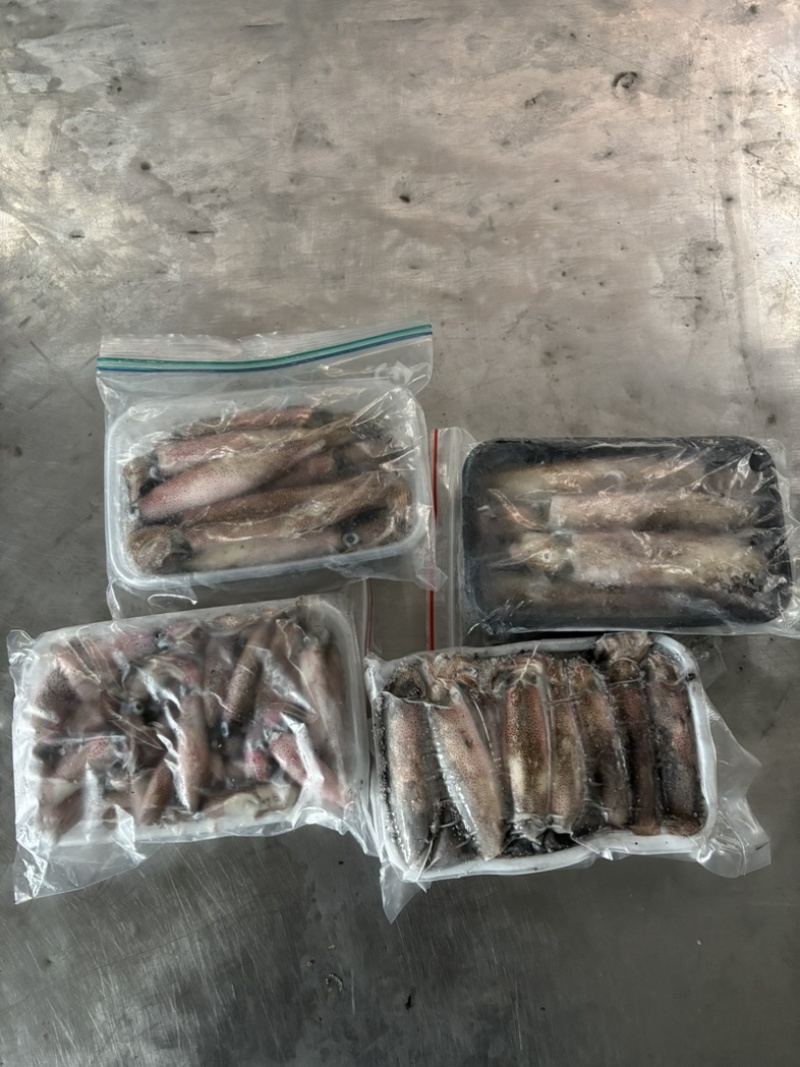 北部湾冰鲜鱿鱼