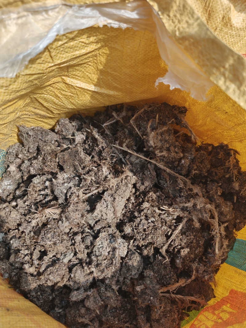 晒干鸡粪基地直发对接全国提供一条龙服务