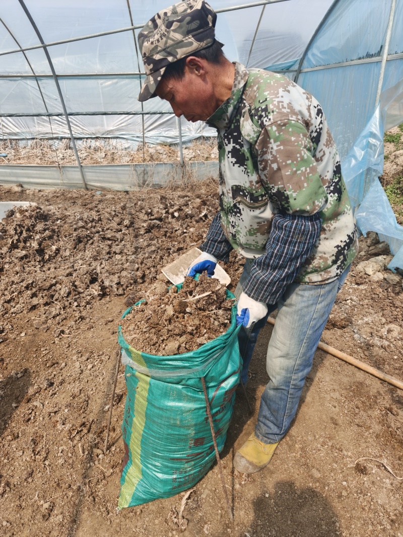 晒干鸡粪基地直发对接全国提供一条龙服务