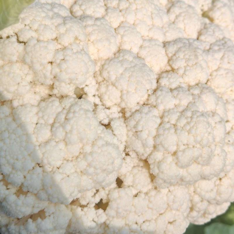 精品有机花菜