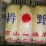 产地直发高原夏菜毛菜精品黄心箱装大娃娃菜