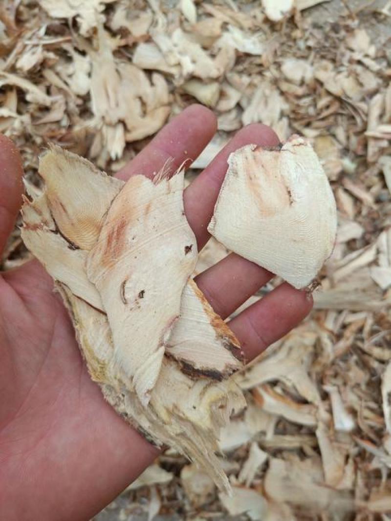 五指毛桃大根切片，无硫磺煲汤香浓、日常泡水都合适，量大从