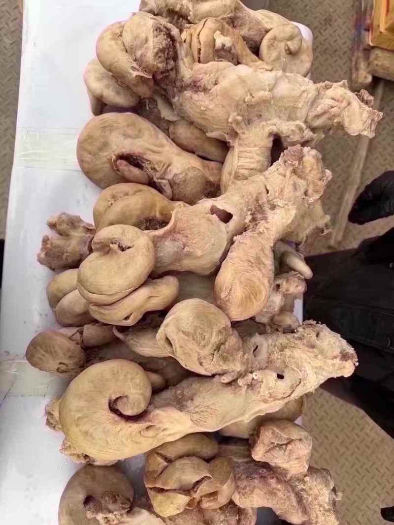 【熟牛杂】牛胎盘，牛小货，熟的，自家加工