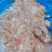 鸡胸碎肉，可以切肉丝肉馅丸子原料（无皮无油无骨）