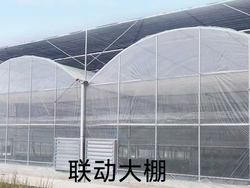 大棚纵杆6分*1.5