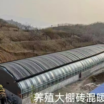 镀锌椭圆管