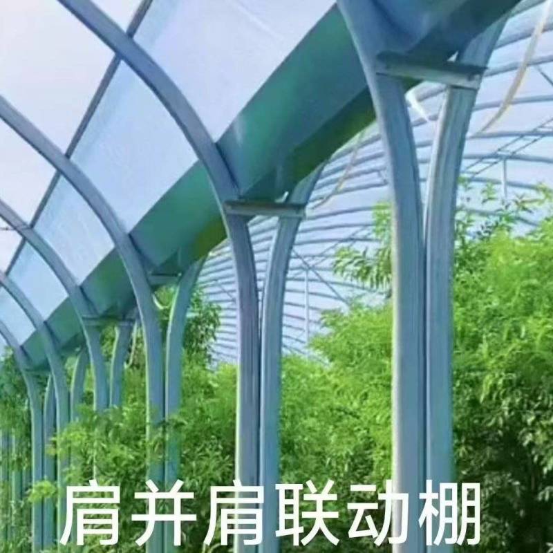 热镀锌椭圆管日光温室